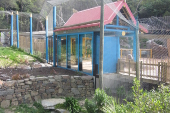 zoo-glazed-viewing-shelter-tiger